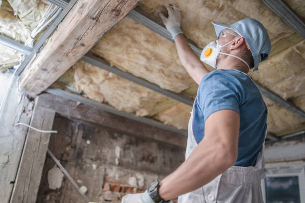 Best Types of Insulation in Chester Center, CT